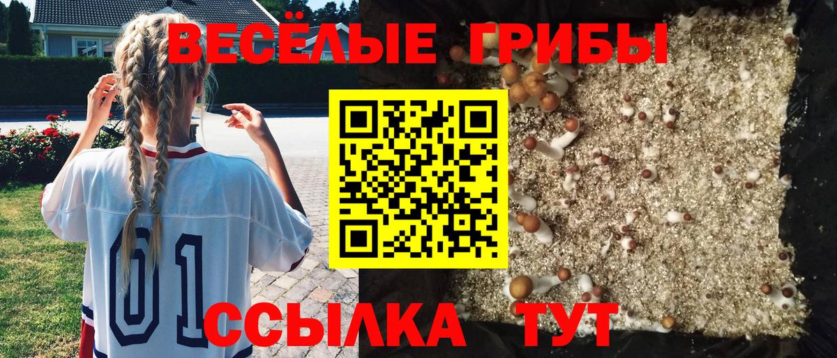наркошоп  Псилоцибиновые грибы Magic Shrooms  Вход с VPN  Галлюциногенные грибы MAGIC MUSHROOMS  Альметьевск 